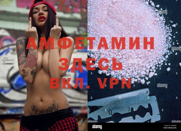 дмт Абаза