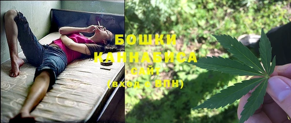 дмт Абаза