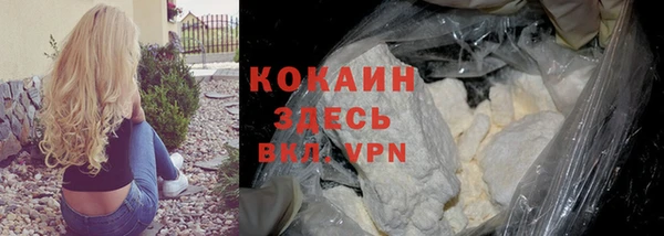дмт Абаза
