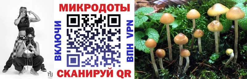 Галлюциногенные грибы Cubensis  Нижнекамск 
